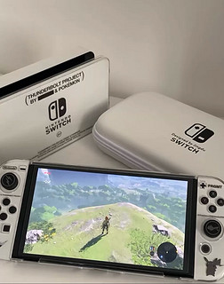 Nintendo Switch，不只是游戏，是生活中的冒险!