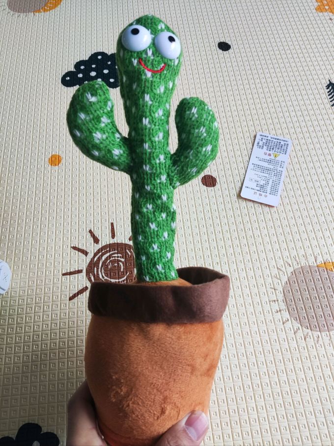 熊猫熊鲜花绿植