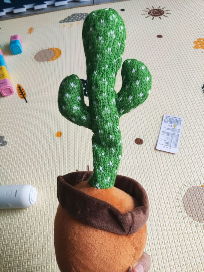 熊猫熊鲜花绿植