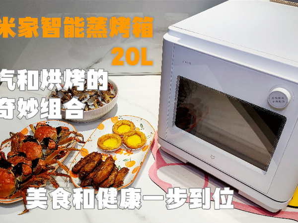 蒸汽和烘烤的奇妙组合 美食和健康一步到位 米家智能蒸烤箱20L