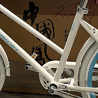 凤凰牌通勤自行车：轻快入门，城市淑女的复古选择