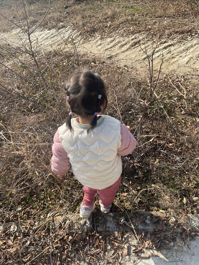 众测｜孩子回老家最喜欢去田间探险