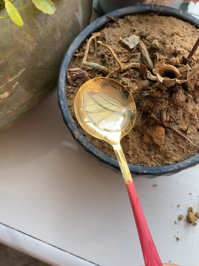 人人嫌弃的汤匙只能拿来挖土