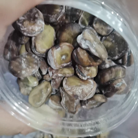 绍兴孔乙己风味茴香豆——五香豆，一种传统与创新的美食碰撞