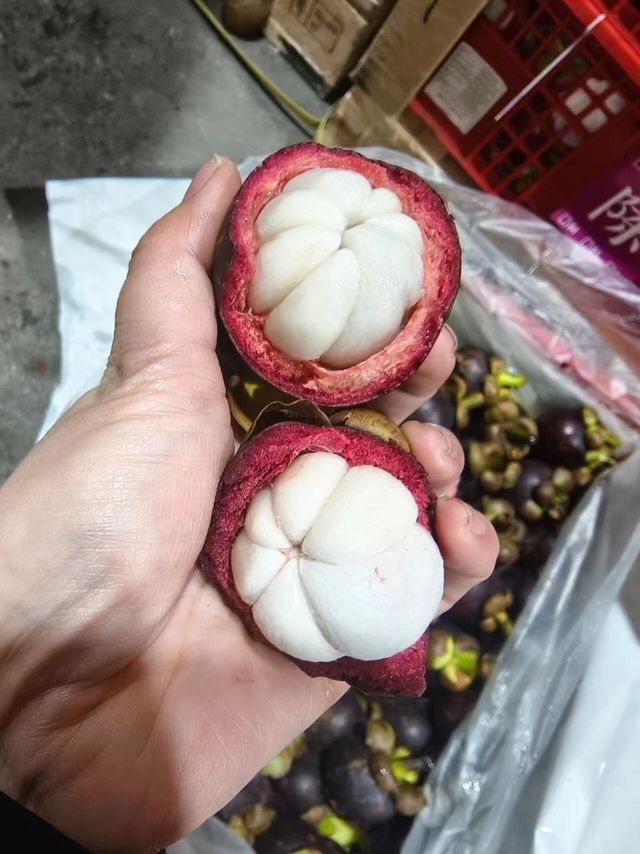 老树麻山竹,保证让你回味无穷!