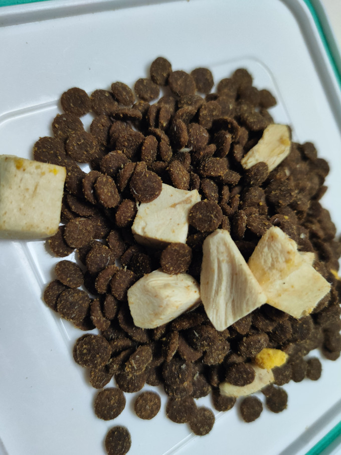 猫咪干粮
