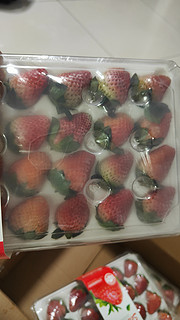 大凉山草莓购买体验