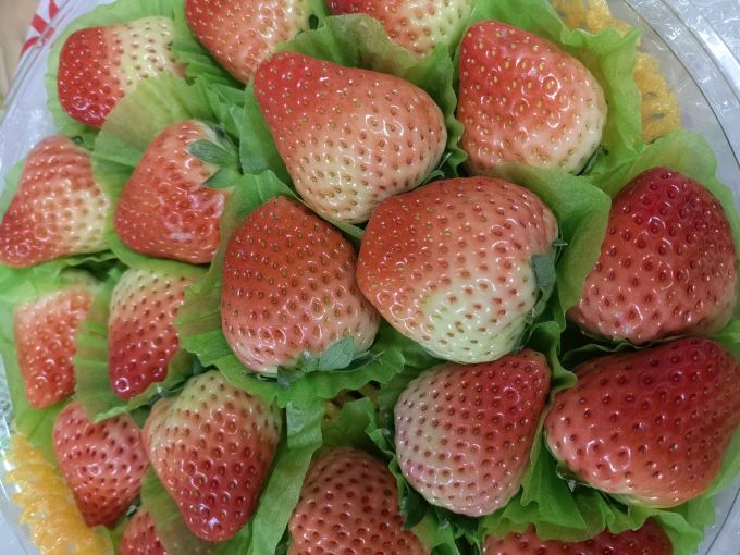 田良记新鲜水果