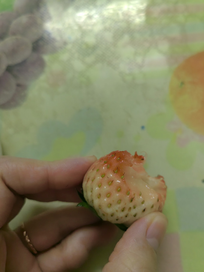 田良记新鲜水果