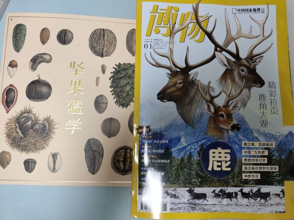 孩子特喜欢的博物杂志