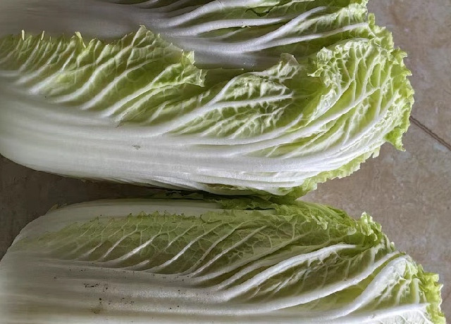 冬季食补食材