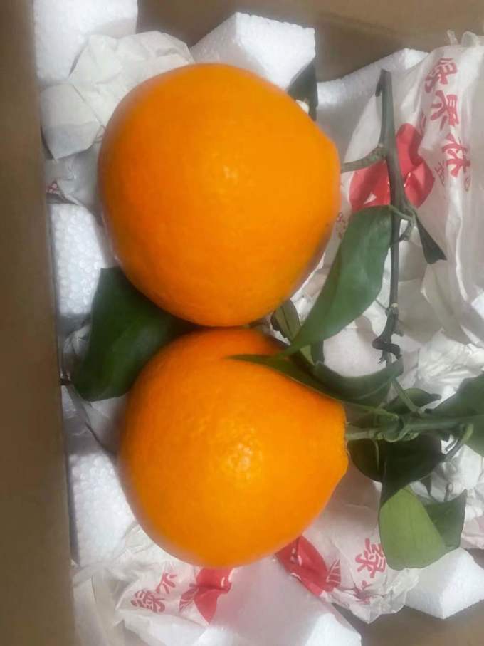 肴池新鲜水果
