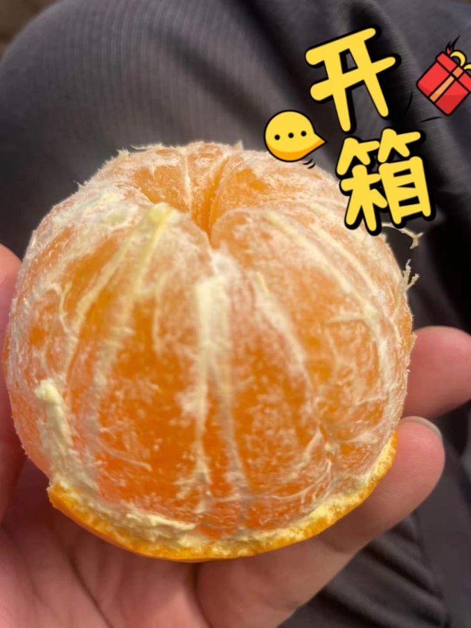 肴池新鲜水果