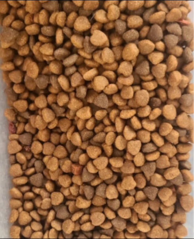 狗狗干粮