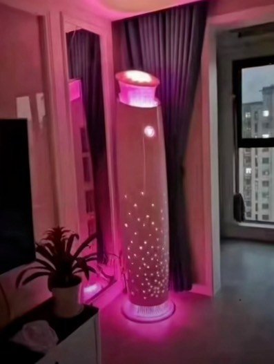 董明珠专为新婚夫妇设计的空调火了！