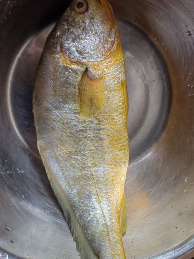 品质不错的大黄花鱼