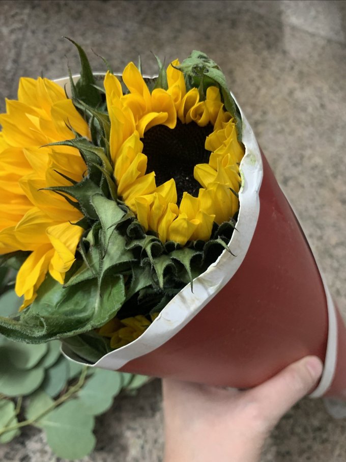 西子悦鲜花绿植