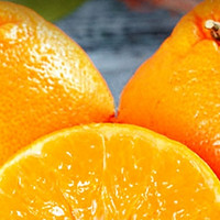 创作众测合集 篇三十二：创作赢众测必中-丑橘和粑粑柑的区别