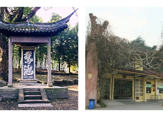 假期出游之我的下一趟短程旅游目的地