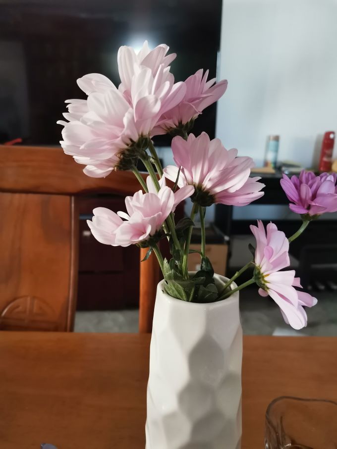 钟爱鲜花