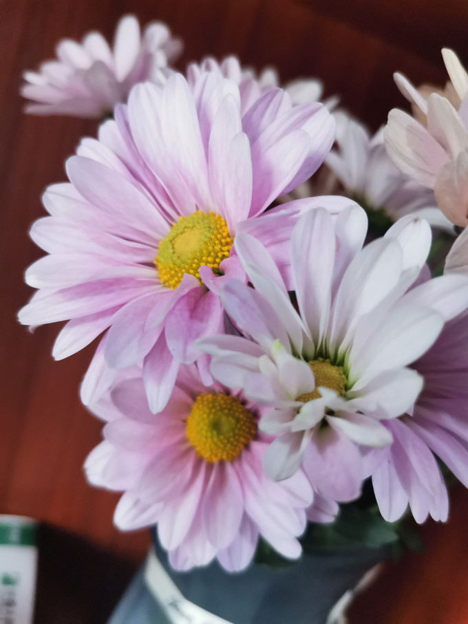 钟爱鲜花