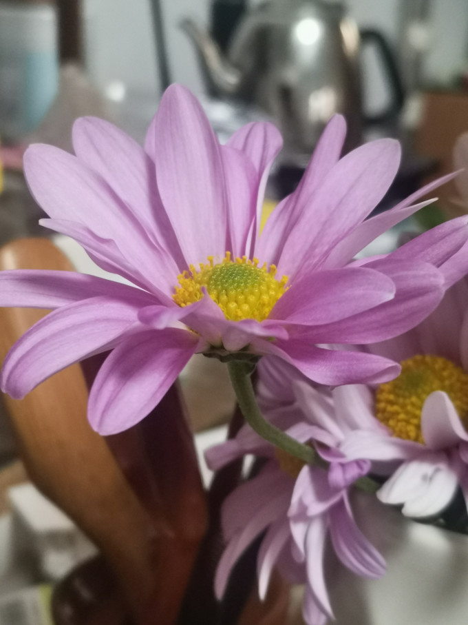钟爱鲜花
