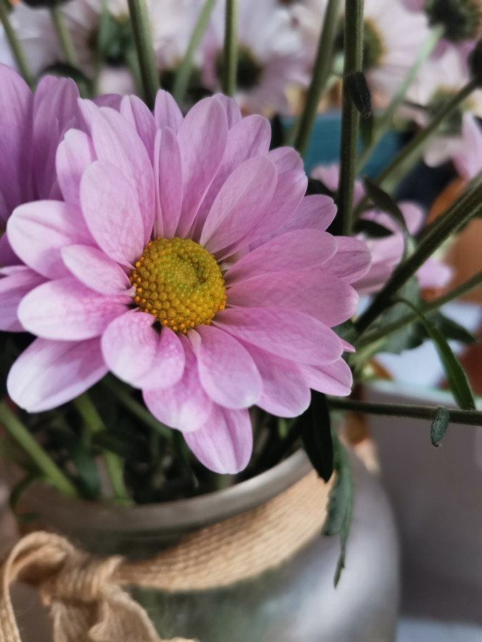 钟爱鲜花
