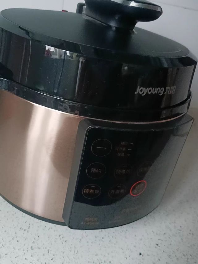 九阳家用电压锅