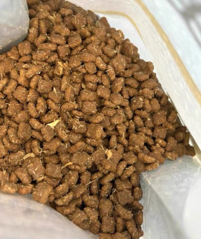 猫咪干粮