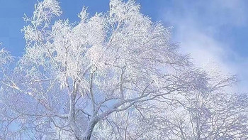 冰城奇遇记：哈尔滨的冬日浪漫之旅！