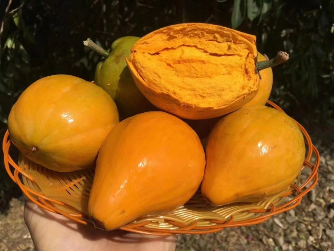 三萌果蔬新鲜水果