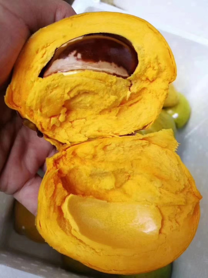 三萌果蔬新鲜水果