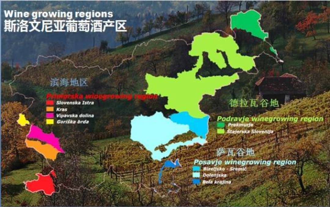 斯洛文尼亚,阳光明媚的酿酒天堂