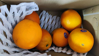 京东生鲜的橙子好甜啊！