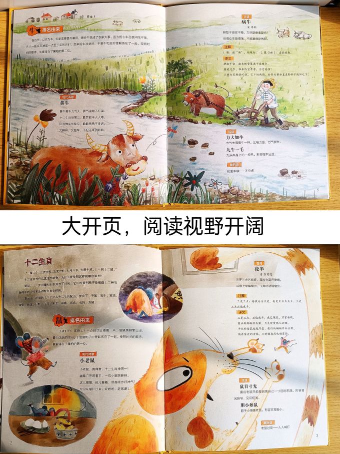 绘本/图画书
