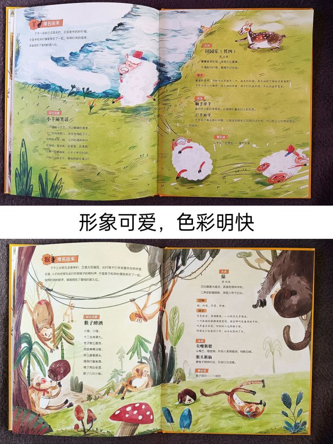 绘本/图画书