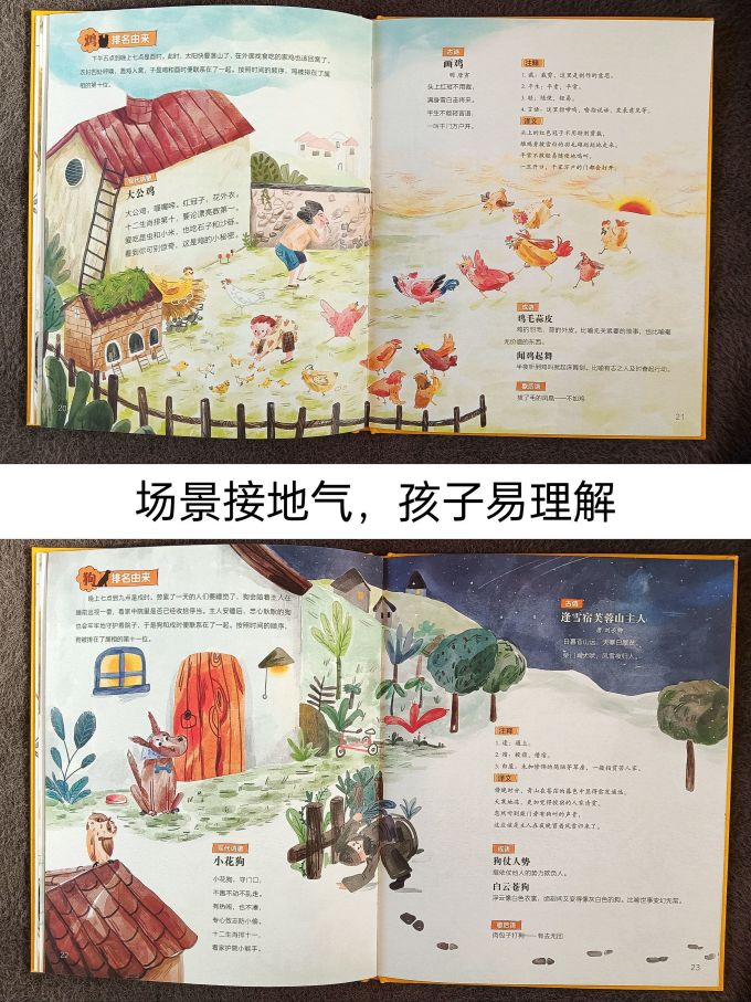 绘本/图画书
