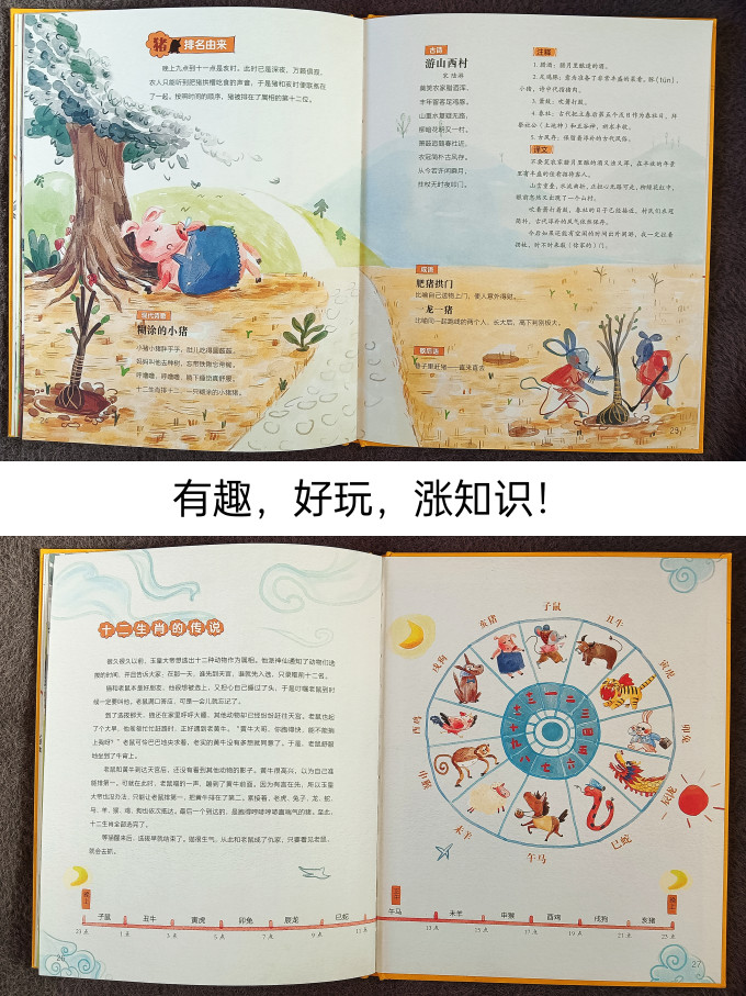 绘本/图画书