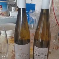 雷司令半甜白葡萄酒