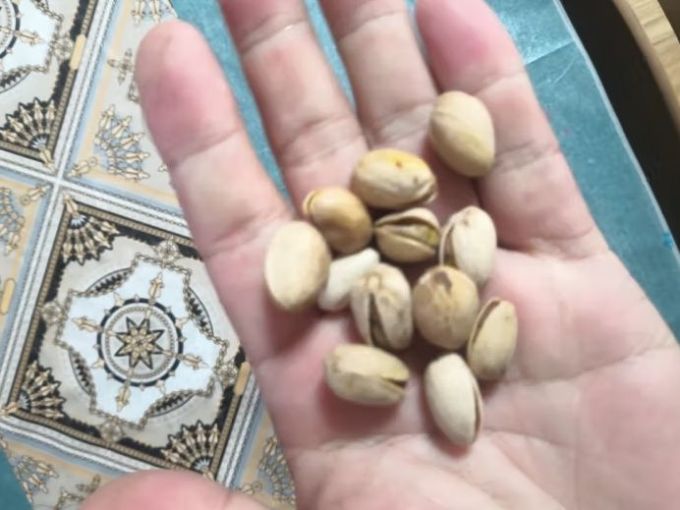 每果时光坚果炒货