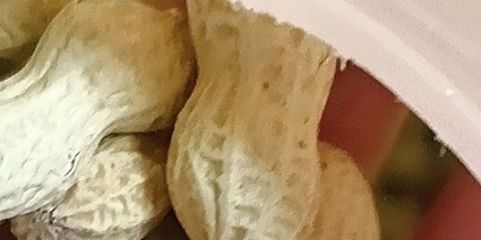 伊食佳坚果炒货