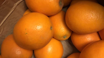 老人小孩都爱吃的橙子，过年不能少的水果