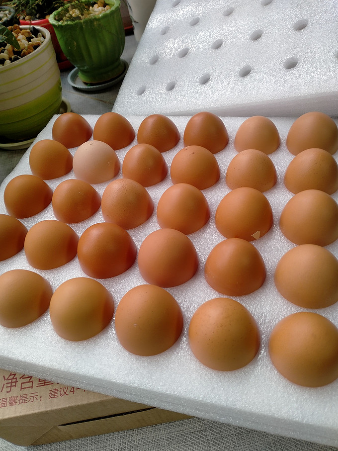 219元30枚的正大鲜鸡蛋你吃了吗又大又新鲜