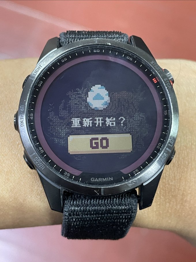 佳明心率表