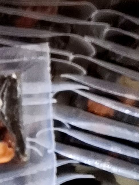 阿胶固元糕