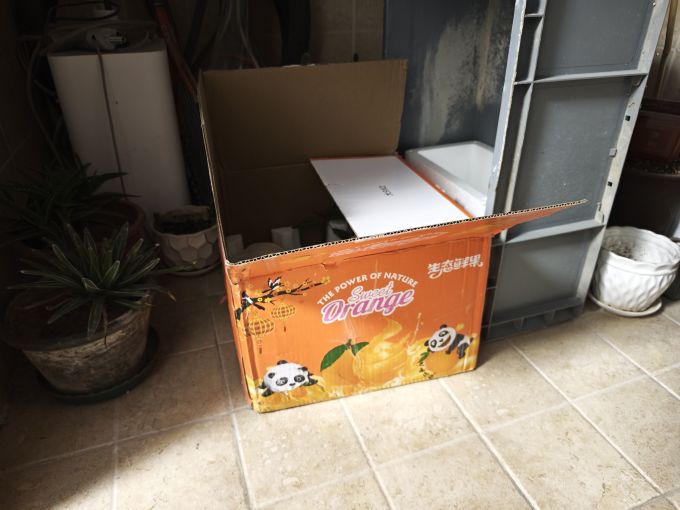乌仙子新鲜水果
