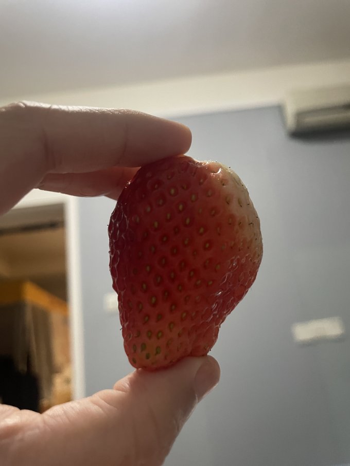 草莓
