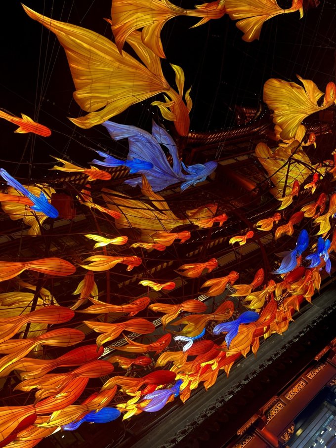 豫园【一夜鱼龙舞】真的绝!~_什么值得买