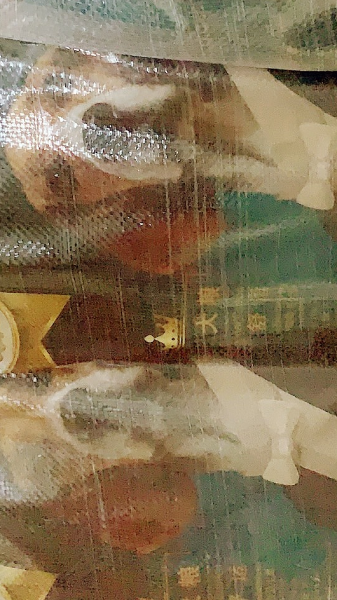 荣爱宠狗粮