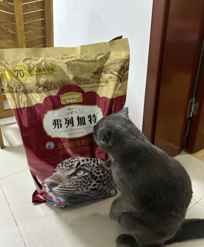 猫咪干粮